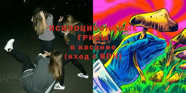 дмт Каменногорск
