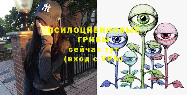 ALPHA PVP Каменск-Шахтинский