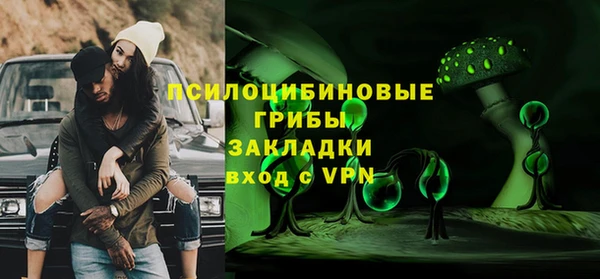дмт Каменногорск