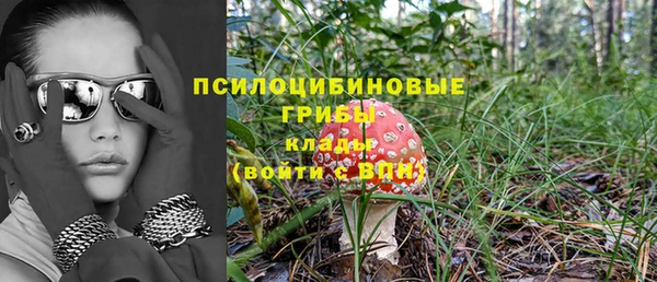 дмт Каменногорск