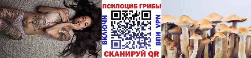 Галлюциногенные грибы мухоморы  Купить где  Искитим 